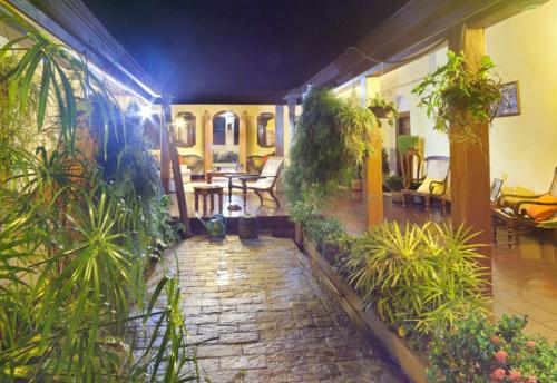 Night time view of the indoor courtyard having several potted plants inside it