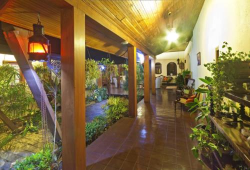 Side view of the indoor courtyard and adjoining corridor with potted plants and furniture visible on either side